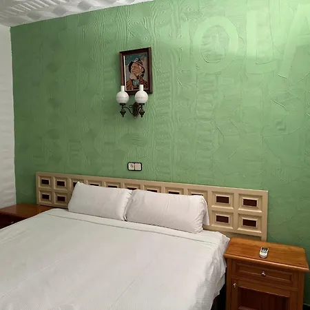 Hotel Nou Roser *