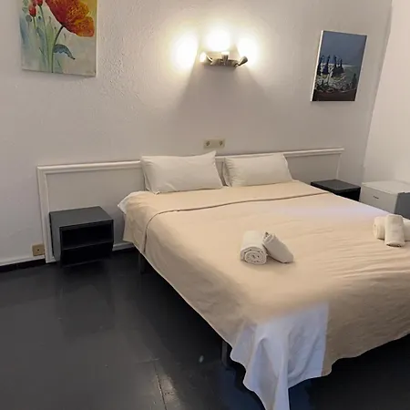Hotel Nou Roser