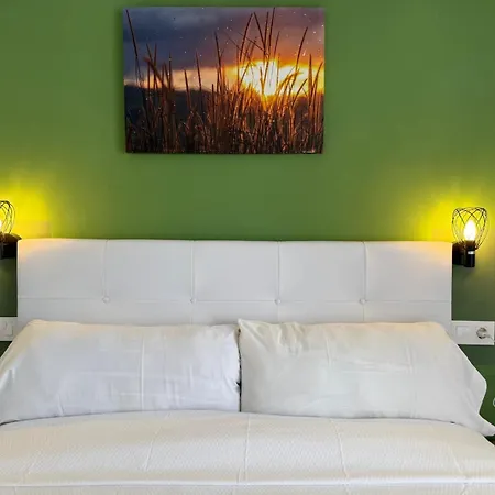 Hotel Nou Roser *