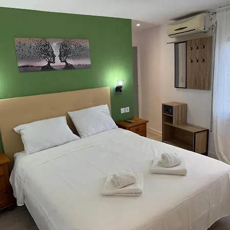 Hotel Nou Roser *